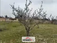 للبيع أرض