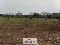 للبيع أرض