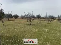 للبيع أرض