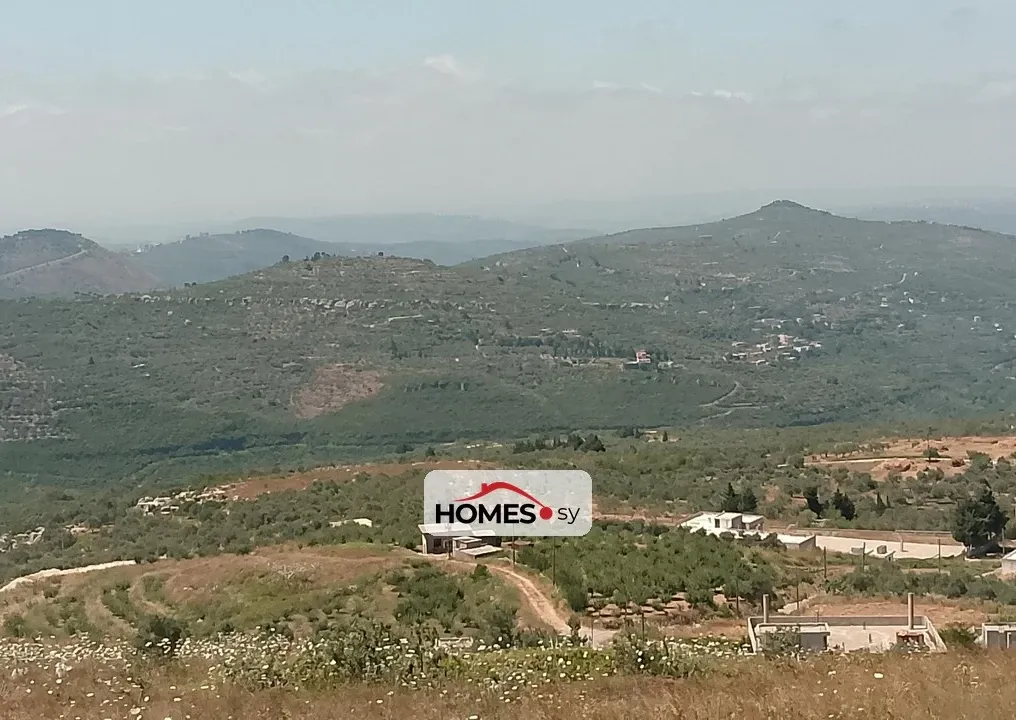 للبيع أرض