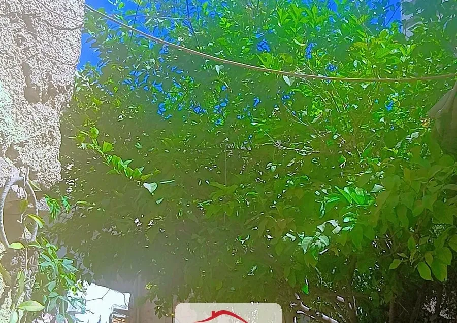 للبيع منزل
