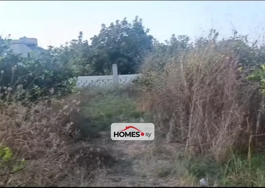 للبيع أرض