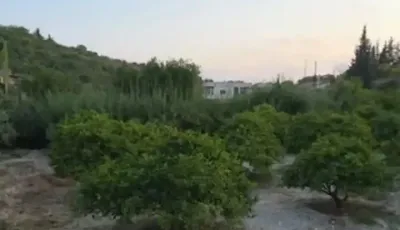 للبيع أرض