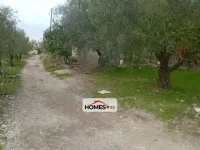 للبيع منزل