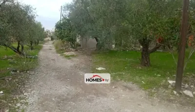 للبيع منزل
