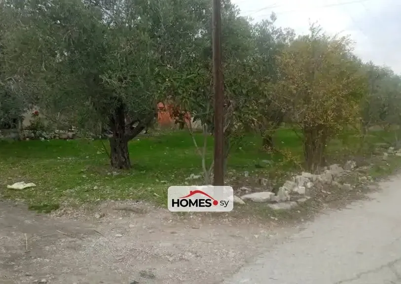 للبيع منزل