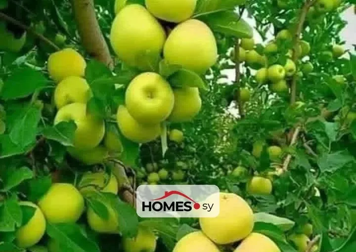 للبيع أرض