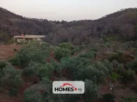للبيع أرض
