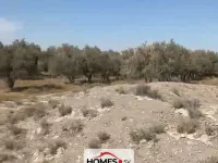 للبيع أرض