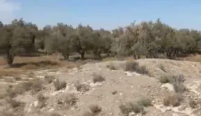 للبيع أرض