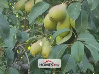 للبيع أرض