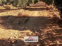 للبيع أرض
