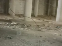 للبيع محل