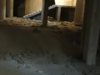 للبيع محل