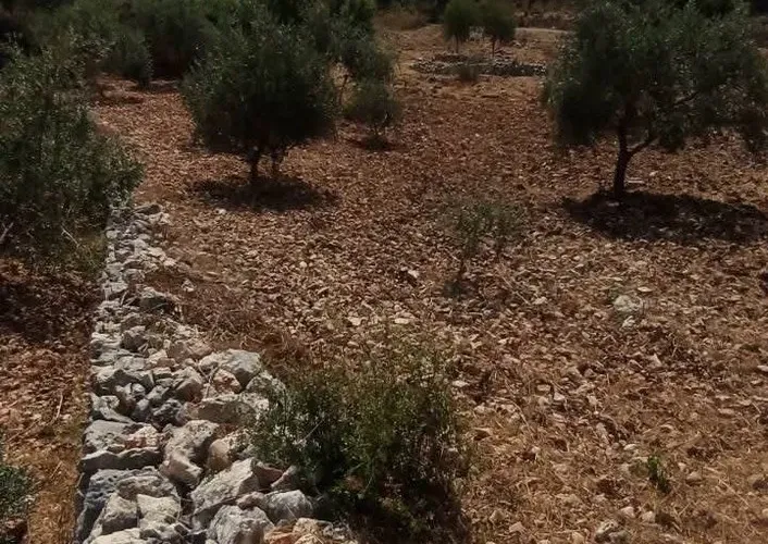 للبيع أرض