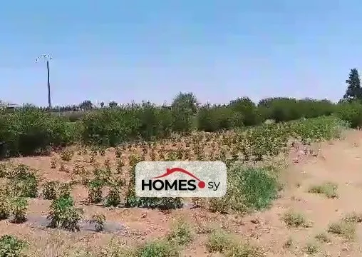 للبيع أرض