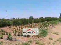 للبيع أرض