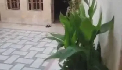 للبيع منزل