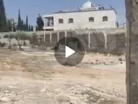 للبيع أرض