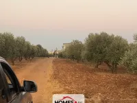 للبيع أرض