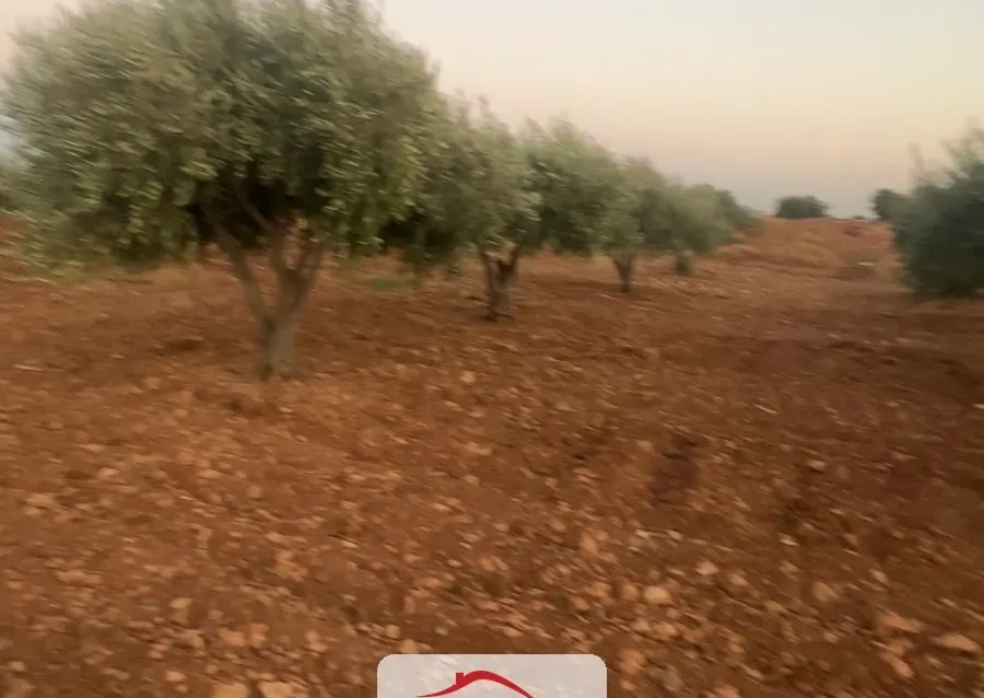 للبيع أرض