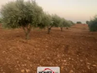 للبيع أرض