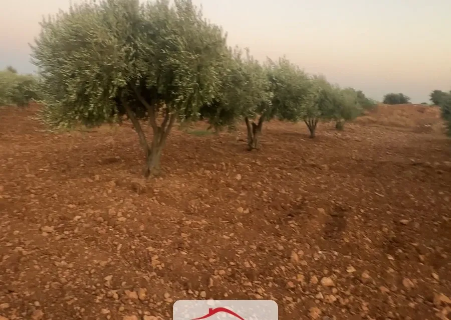 للبيع أرض