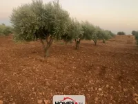 للبيع أرض