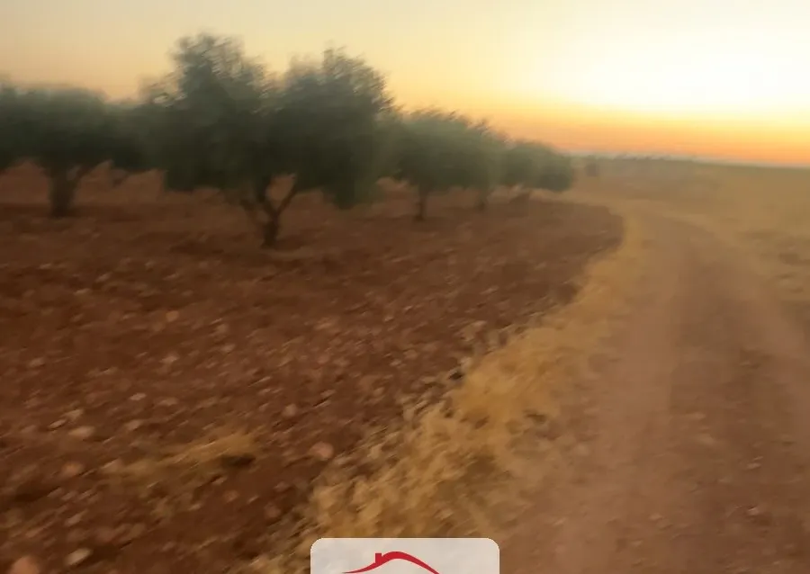 للبيع أرض