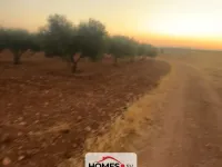 للبيع أرض