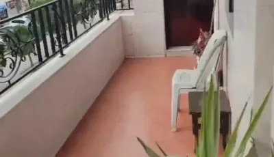 للبيع غرفتان