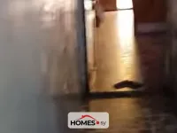 للبيع غرفتان