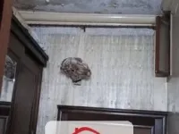 للبيع 3 غرف