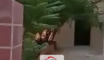 للبيع منزل