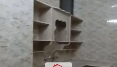 للبيع 3 غرف