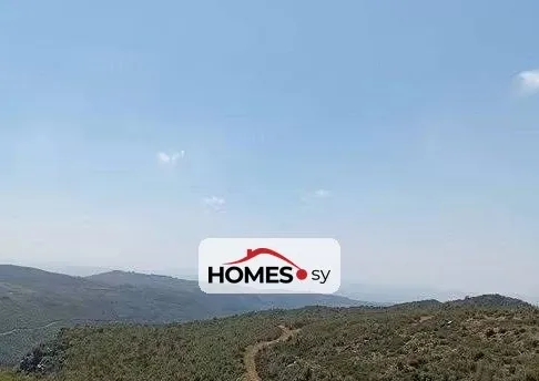 للبيع فيلا