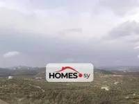 للبيع منزل