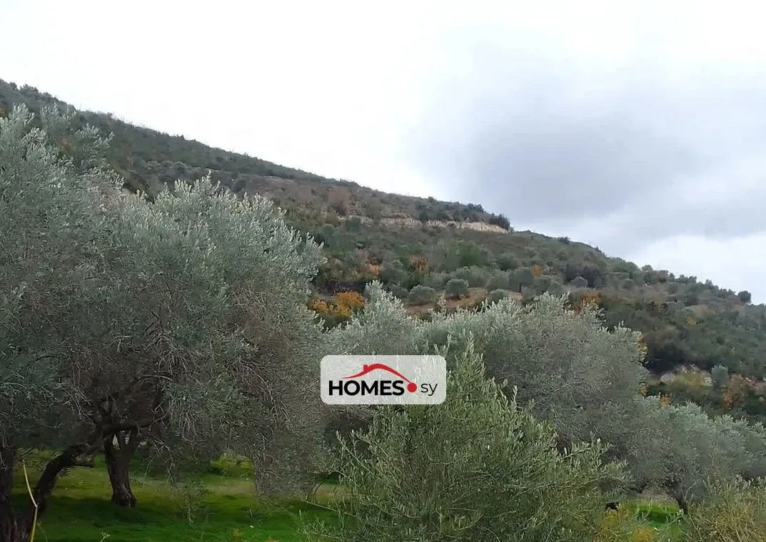 للبيع أرض