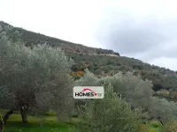 للبيع أرض