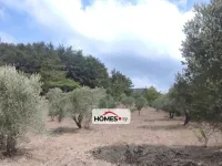 للبيع أرض