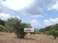 للبيع أرض