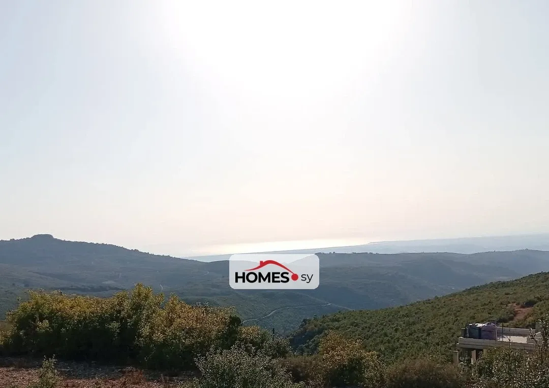 للبيع أرض